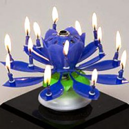 Musical Flower Blue Birthday Candle
