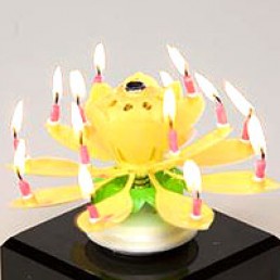 Musical Flower Yellow Birthday Candle