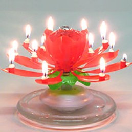 Musical Flower Red Birthday Candle