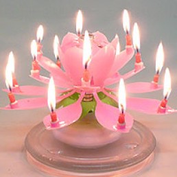 Musical Flower Pink Birthday Candle